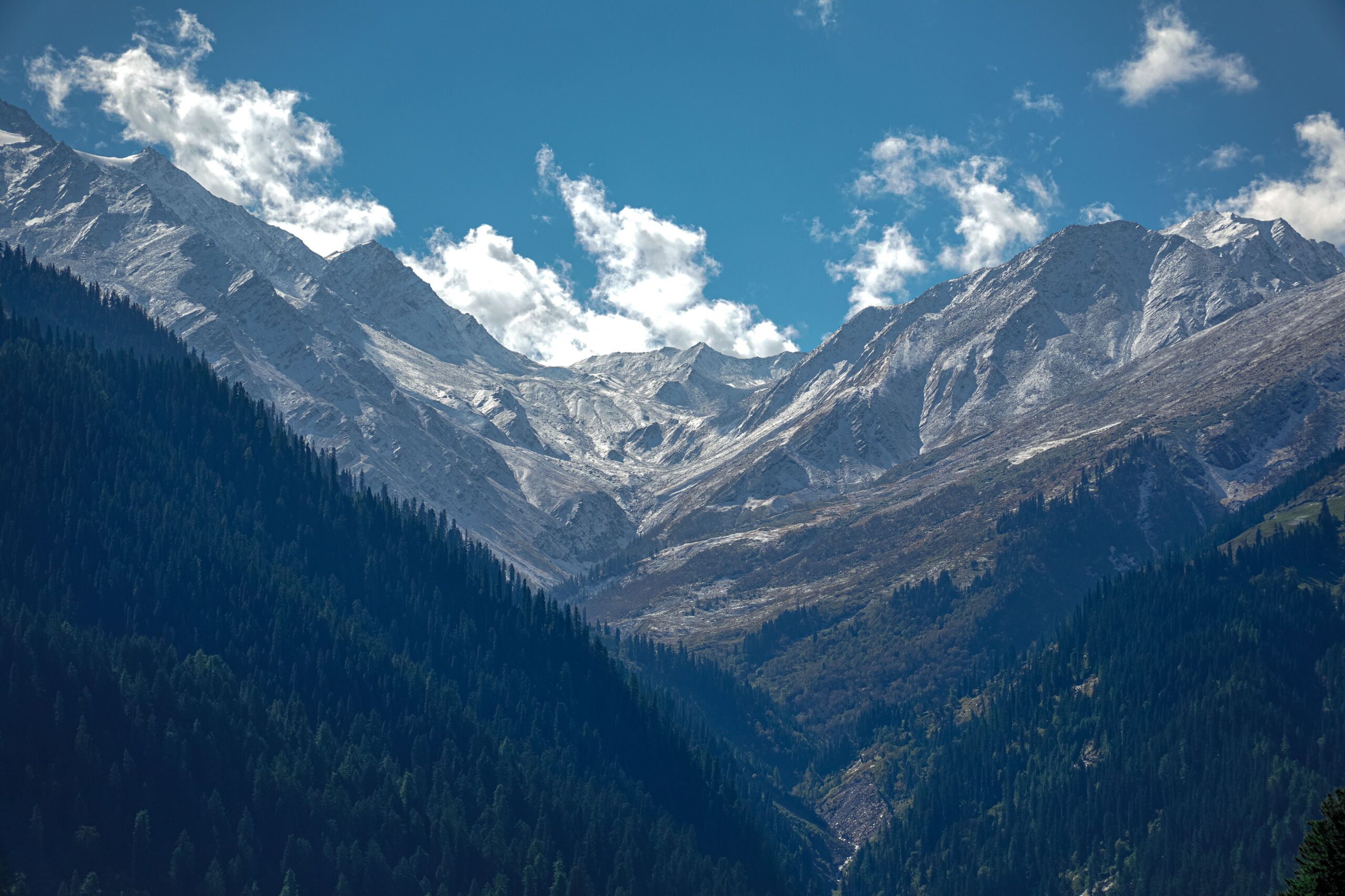 Snow-covered mountains and lush pine forests in Manali, Himachal Pradesh, representing a budget Manali trip under ₹10,000 with affordable sightseeing and travel in 2026.